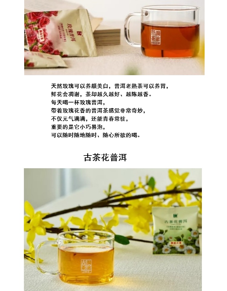 普洱玫瑰菊花茉莉古茶花老特四種5.jpg